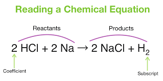 (coefﬁcients equal to one (1) do not need to be shown in your answers). What Is The Difference Between A Subscript And A Coefficient In A Chemical Equation