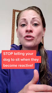 Want to Become a Certified Professional Dog Trainer?, Our certification  programs will be a excellent fit for an average dog owner looking to start  a career in dog training or for professional dog ...