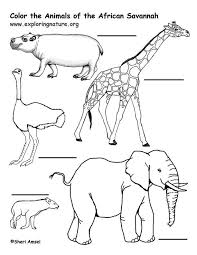 African Savanna Animals Labeling Page Savanna Animals African Savanna Animals Animal Coloring Pages