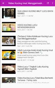 Download video lucu 2021 apk 3.1.0 for android. Video Kucing Lucu Terbaru Apk 1 0 Download For Android Download Video Kucing Lucu Terbaru Apk Latest Version Apkfab Com