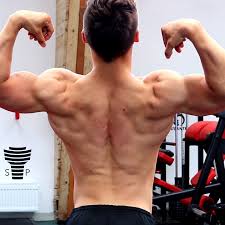 Check spelling or type a new query. Jak Ziskat Velka Ramena Navod Jak Ziskat Velka Zdrava Silna Ramena