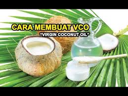 Cara Membuat Vco Dan Manfaat Vco Youtube