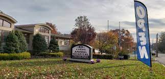 They're always so nice and very knowledgeable with any. 4 Paws Animal Hospital 15 Photos 31 Reviews Veterinarians 90 County Rd 520 Morganville Nj United States Phone Number