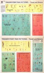 Travell Simmons Trigger Point Charts Trigger Point