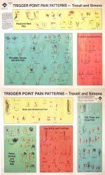 travell simmons trigger point charts trigger point