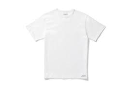 How to edit a photo to see through white clothes. The Best Men S White Tee In 2021 That Gq Editors Swear By Gq