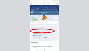 How to cancel instagram by login. How To Delete An Instagram Account Step By Step Guide Business 2 Community