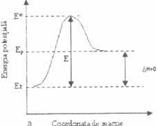 Utilizarea serverului de test netograf disponibil pe. Cinetica Reactiilor Chimice