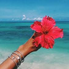 Pin By Lucy Cubano On Inspo Summer Aesthetic Summer Pictures Beach Aesthetic