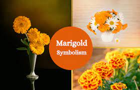 Pin On Plants And Flower Symbols