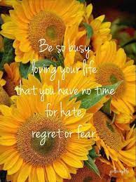 Love Comes First Sunflowers Add To Love Flower Quotes Sunflower Quotes Sunflower Pictures