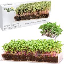 Sprouting has to be one of the coolest things i've come across. Amazon Com Window Garden Grow N Serve Microgreens Kit Easy Planting And Growing Indoor Superfood Seed Gardening Complete With Acrylic Planter Tray Sprouting Seeds Fiber Soil And Spray Bottle Garden