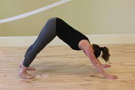 Yoga, yoga poses for beginners, yoga poses, yoga fitness, yoga practices, yoga teacher, yoga life, yoga challenge, yoga lifestyle, yoga community. Five Easy Yoga Poses To Start A Healthy Morning Photogallery Etimes