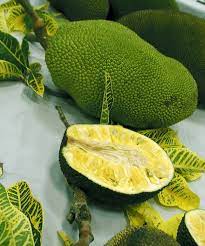 Spiky tropical fruit with green skin. Pin On Exotic Fruits