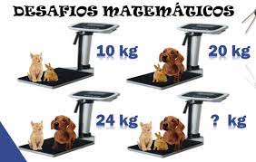 Hoy, hablaremos de manera específica sobre los ejercicios mentales. Juegos Mentales Matematicos Para Ninos Juegos De Matematicas Para Alumnos De 1aÂº Y 2aÂº De Educacion Primaria Cristic Juliana Junio 23 2017 Para Ninos Maryellen Clyde