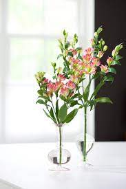 Charmelia Appears Similar To Alstroemerias The Name Meaning Is Charming Beauty A New Flower Variety Originating From The S Open Flower Flowers Flower Vases