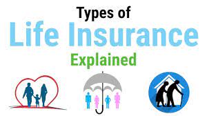 There are many well known insurance companies, such as aflac and state farm. Types Of Life Insurance Settle Insurance