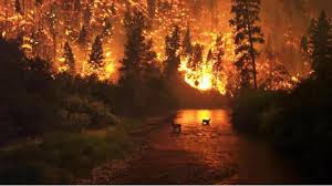 Detailed 6 day mountain weather forecast for climbers and mountaineers. Climate Change Increases The Risk Of Wildfires Confirms Our New Sciencebrief Tyndall Centre For Climate Change Research