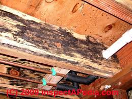 With a simple cleaning solution of dishwashing soap and warm water. Black Mold Cosmetic What Harmless Black Mold Or Cosmetic Looks Like Harmless Mold May Be Mistaken For Toxic Mold Save Your Mold Testing Money