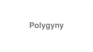 Cynical pronunciation in british english. Blog Pronounce Part 405