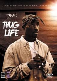 2pac 45 Music Videos Hip Hop Rap Dvd Tupac Shakur Snoop Dogg Dr Dre Nas Scarface Tupac Pictures Hip Hop Videos Tupac