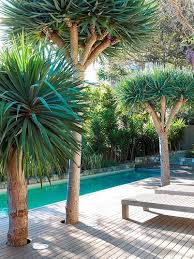 Kleiner Schmaler Pool Am Hinteren Zaun Kann Als Kleiner Pool Dienen Und Backyard Pool Designs Pool Landscaping