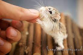 pin on cute