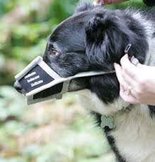 Husher For Dogs Husher Barking Muzzle For Dogs
