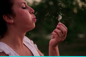 Muy lunes!, -, ©2016