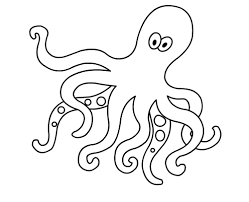 Desenhos De Polvos Para Imprimir E Colorir Animais Para Colorir
