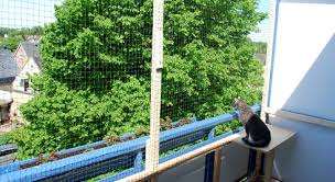 Handwerkern Fur Einen Katzensicheren Balkon Katzen Katze Balkon Balkon Katzensicher