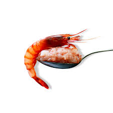 Il gambero viola è la specie target della pesca profonda nel mediterraneo. Tartare Di Gambero Viola Del Mediterraneo 480 G