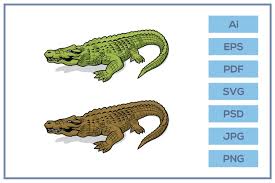 ✓ free for commercial use ✓ high quality images. Vector Of Alligator Crocodile Cartoon Character Design 414682 Illustrations Design Bundles