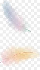 Free Download The Floating Feather Flight Bird Feather Png Png 1929 3278 And 7 5 Mb Overlays Transparent Background Feather Clip Art