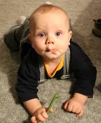 Live from Tormville!: Inherited Tricks