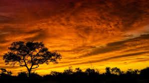 In the far north east of south africa, lies the famous kruger national park, framed by glorious sunshine. 30 Best Kruger National Park Hotels In 2020 Great Savings Reviews Of Hotels In Kruger National Park South Africa