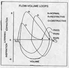 Evaluation And Monitoring Of Respiratory Function Neupsy Key