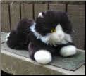 виски кола королева танцпола виски кола королева танцпола виски Plush Toy Cat 10 Tux Black White Cat Big Stuffed Animal White Cat Cats