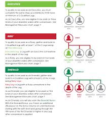 it works management levels these levels lead up to