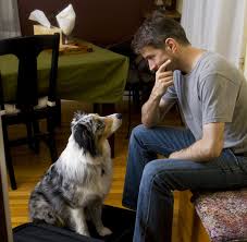 How to Find a New Home for Your Dog