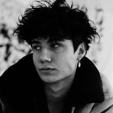 william simoes silva (williamsimoessilva)