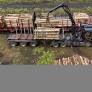 French Forest Carbon Sinks Critically Declining Amidst National Climate Strategy Concerns