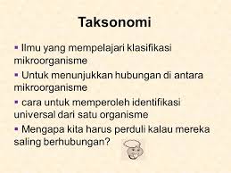 Ø histologi studi tentang jaringan tubuh atau organ makhluk hidup yang merupakan serentetan sel sejenis. Klasifikasi Mikroorganisme Ppt Download