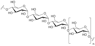 Polysaccharide The Polymer Of Charbohydrates Chemistry Math Macromolecules