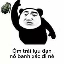 Ở đây chúng tôi có meme gấu trúc | Vietcetera