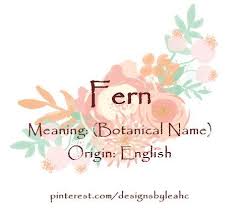 Baby Girl Name Fern Meaning Botanical Name Origin English Baby Girl Names Little Girl Names Unique Boy Names