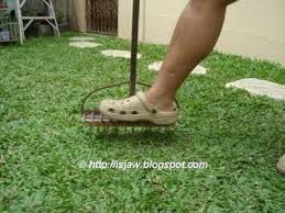 Pull the plywood straight up with the handle. Diy Lawn Aerator And Crocks Lol Aerate Lawn Diy Lawn Lawn Care Tips