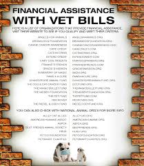 Crazy Cat Ladies Unite Canine Cancer Vet Bills Pets