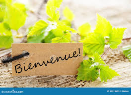 Label avec bienvenue image stock. Image du salutations - 33913633