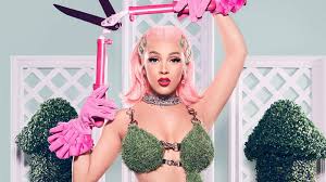 How many music videos does doja cat have? Doja Cat S Net Worth How Much The Viral Moo Singer Makes Otakukart